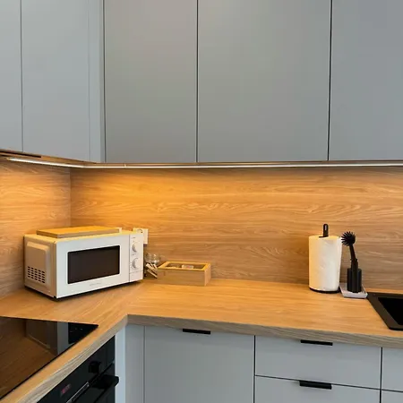 Lts Rent Baltic Haven Luxury&comfortable * 格但斯克