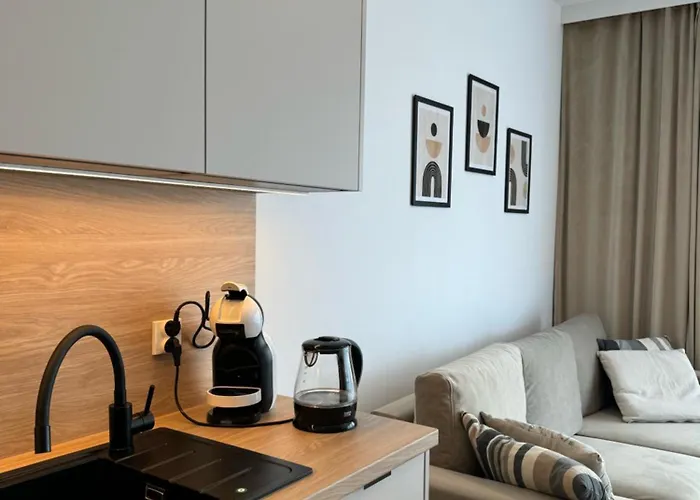 公寓 Lts Rent Baltic Haven Luxury&comfortable *